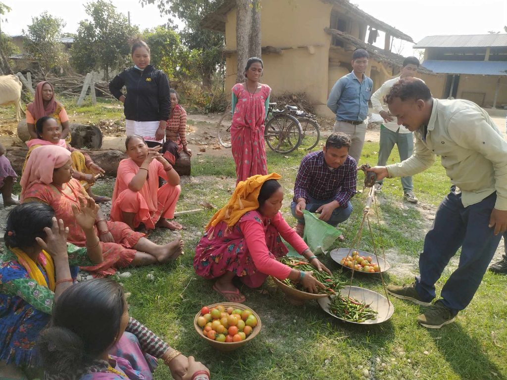 अर्ग्यानिक टिना खेती ओर कैलारीके महिला