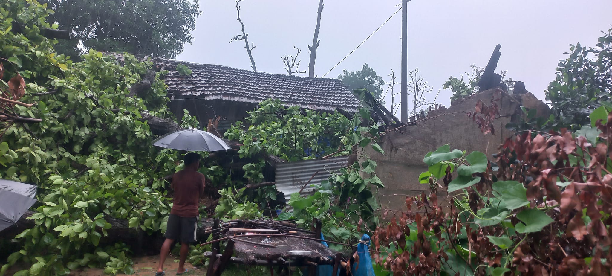 रुख ढलेर घरमा क्षति