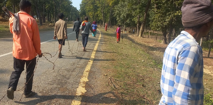 बाली जोगाउन तारबार