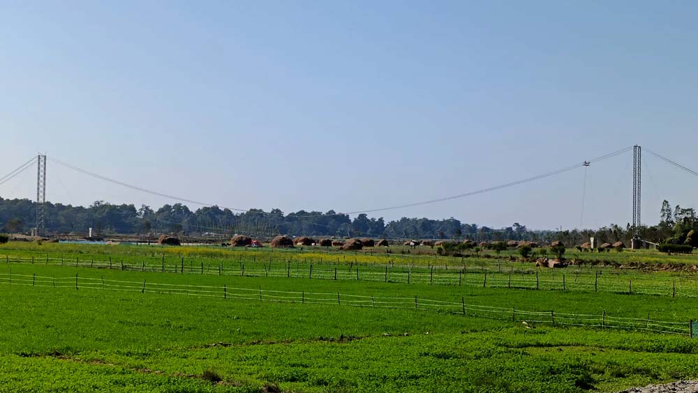 भितरिया र मोहनपुर जोड्ने झोलुङ्गे पुलको ८० प्रतिशत काम पूरा