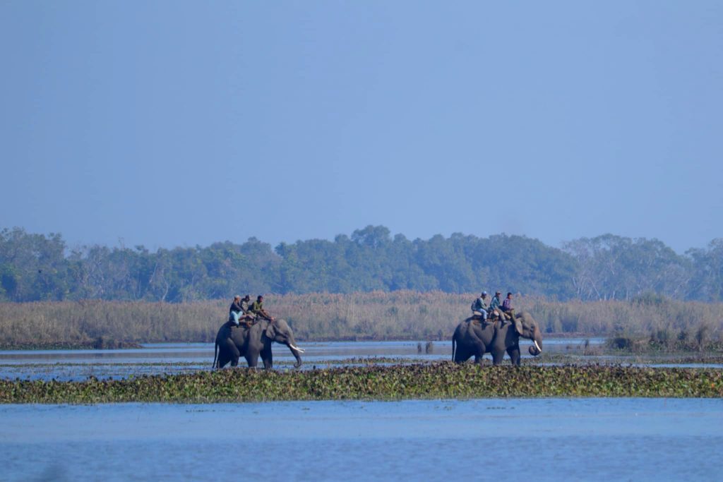 कञ्चनपुरको पन्छी ताललाई रामसारमा सूचीकृत गर्न वस्तुस्थिति अध्ययन