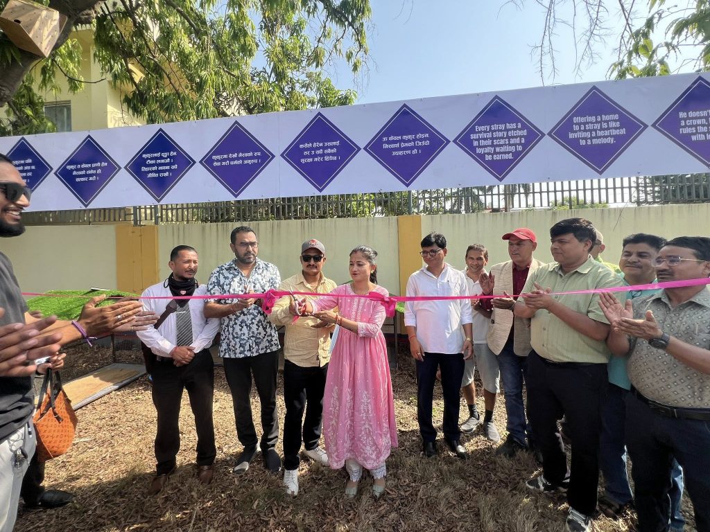 वडा अध्यक्षको सह्रानीय कार्य, विहेको खर्च कटाएर कुकुरका लागि आश्रय स्थल