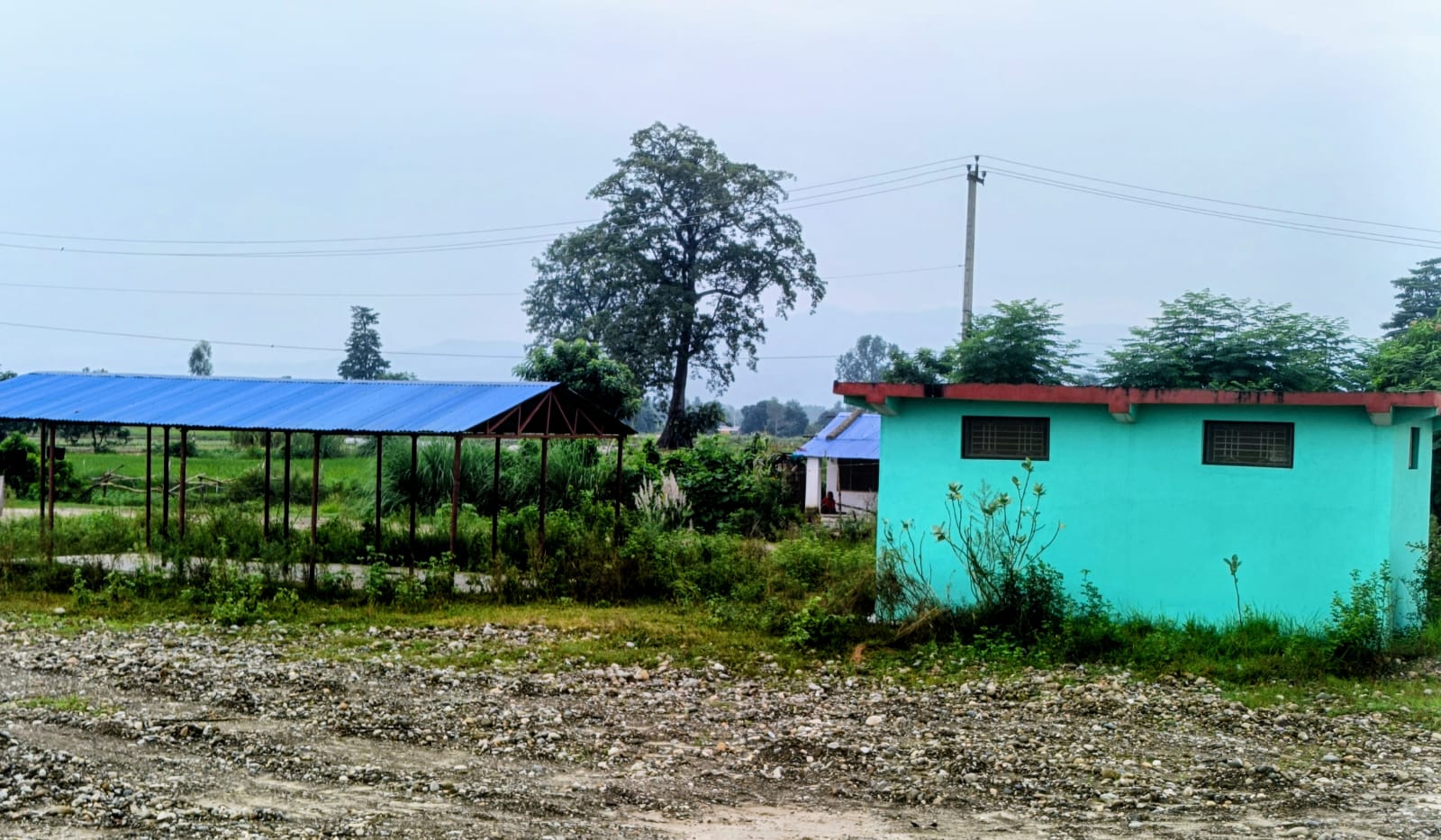 पच्चिस लाखको तरकारी संकलन केन्द्र प्रयोगविहीन