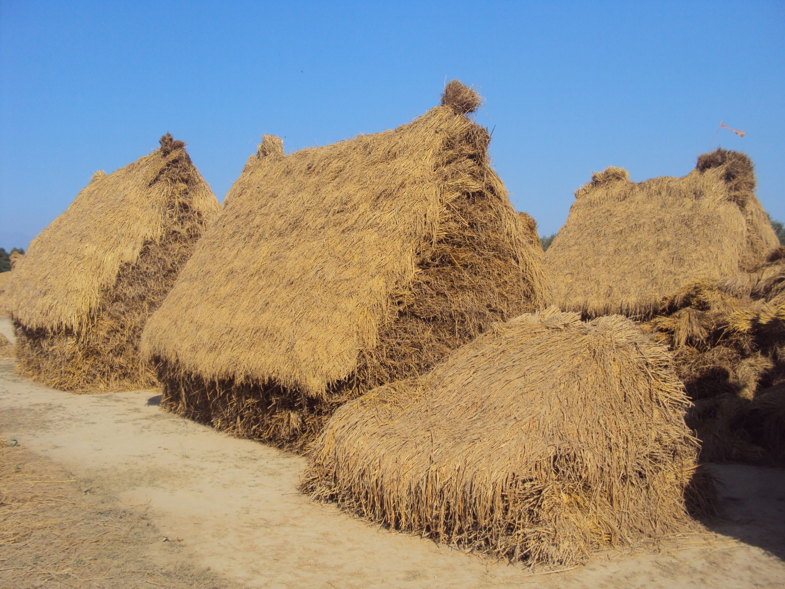 हरायो खेन्हुवा र खढी